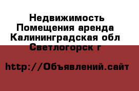 Недвижимость Помещения аренда. Калининградская обл.,Светлогорск г.